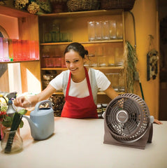Lasko Breeze Machine® 10" Table Top Fan (2-speed, manual, 360° pivot, bronze)